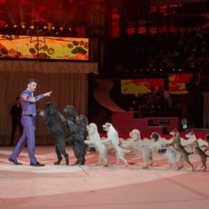 615441058_1322245373276079_6742697871839248286_n