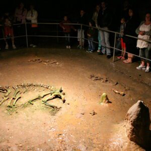 medvebarlang2_kiskoh