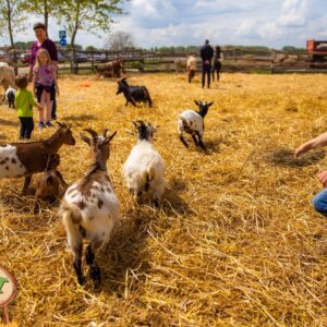 483914591_1581760505948302_4631990338834978084_n