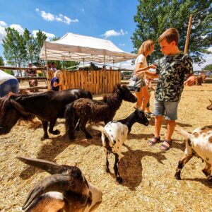 483941734_1581759992615020_9068189759288267756_n