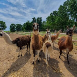 484184978_1581105222680497_1354579330472808714_n