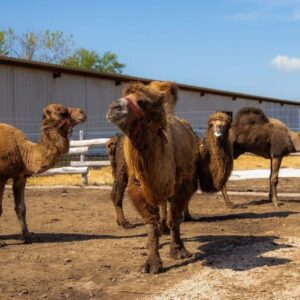 591711491_1784675078990176_549935266559099315_n