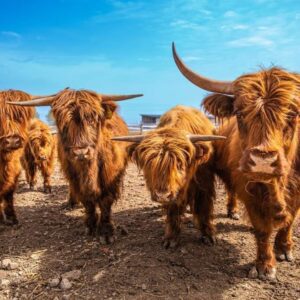 591738712_1784674562323561_5843879695713375743_n