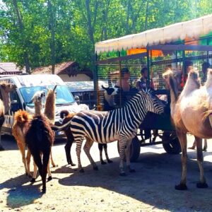 IMG_4732_2-e1756373459748-1024×809