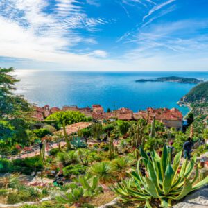 shutterstock_1207997773